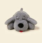 Snuggle Buddy Smokey (Gray)