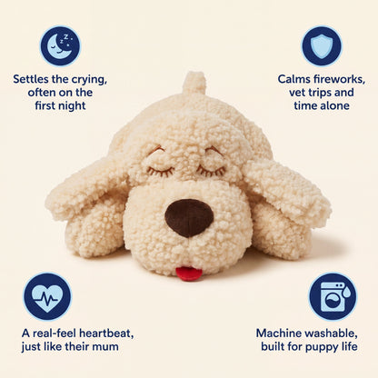 Snuggle Buddy Biscuit (Cream) - image 4