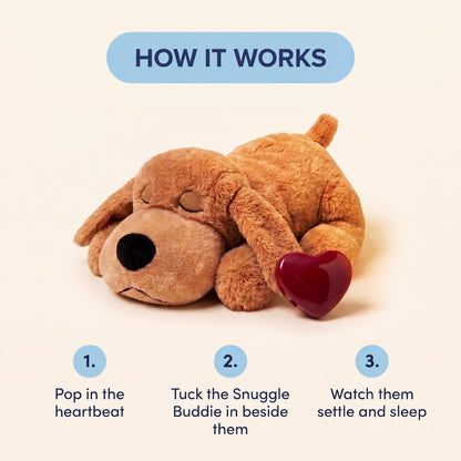 Snuggle Buddy Coco (Brown) - image 4