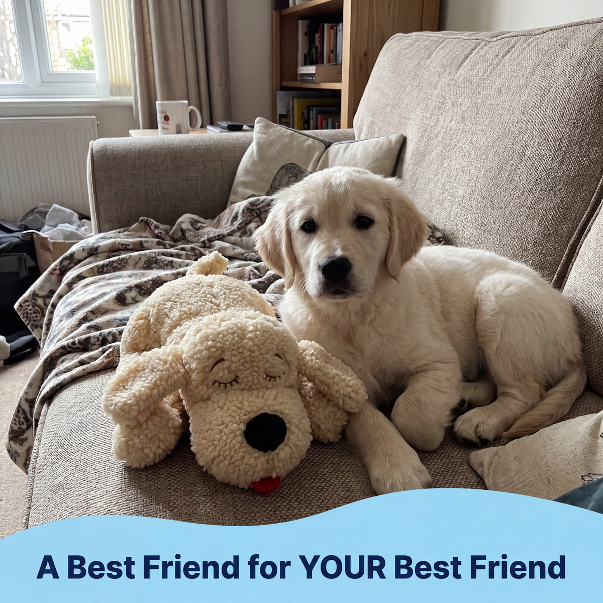 Snuggle Buddy Shadow (Black) - image 7